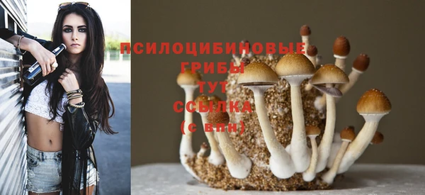меф Мегион