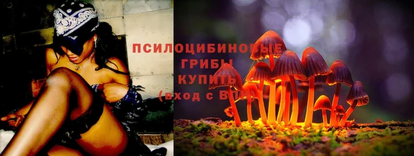 jwh Медвежьегорск