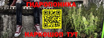 прущие грибы Балаково
