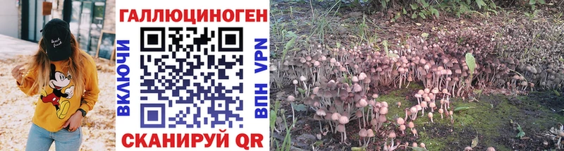 Галлюциногенные грибы GOLDEN TEACHER  Богородск 