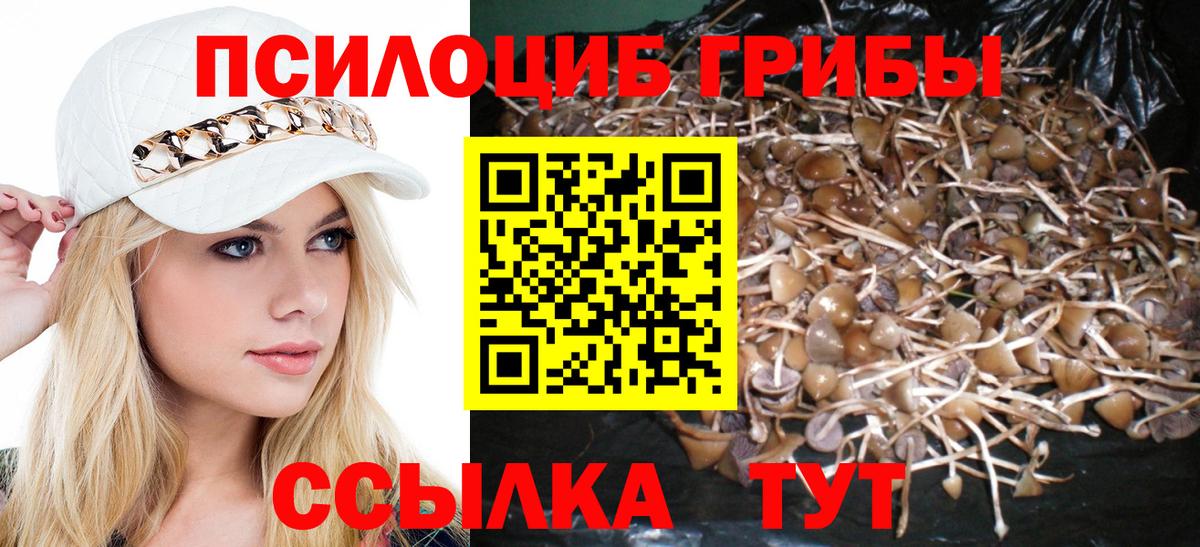 закладка  Вход с VPN  Псилоцибиновые грибы Psilocybe  Богородск  Псилоцибиновые грибы ЛСД 