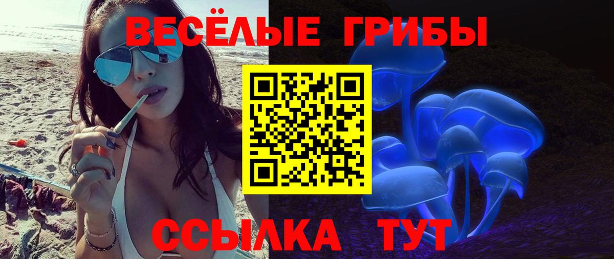 Псилоцибиновые грибы MAGIC MUSHROOMS Богородск