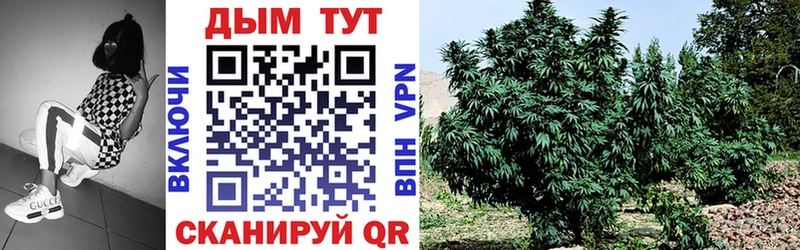 Конопля Bruce Banner как найти наркотики Богородск